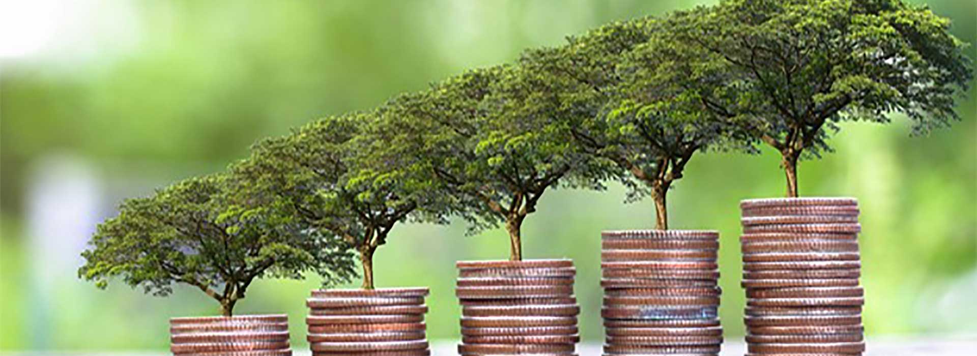 Weaving Sustainable Bonds into a Greener Tomorrow