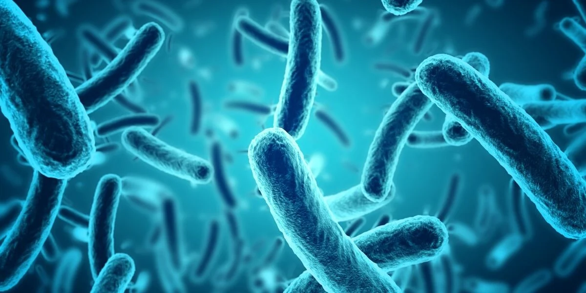 Microscopic Marvels: How Microbes Shape Their World