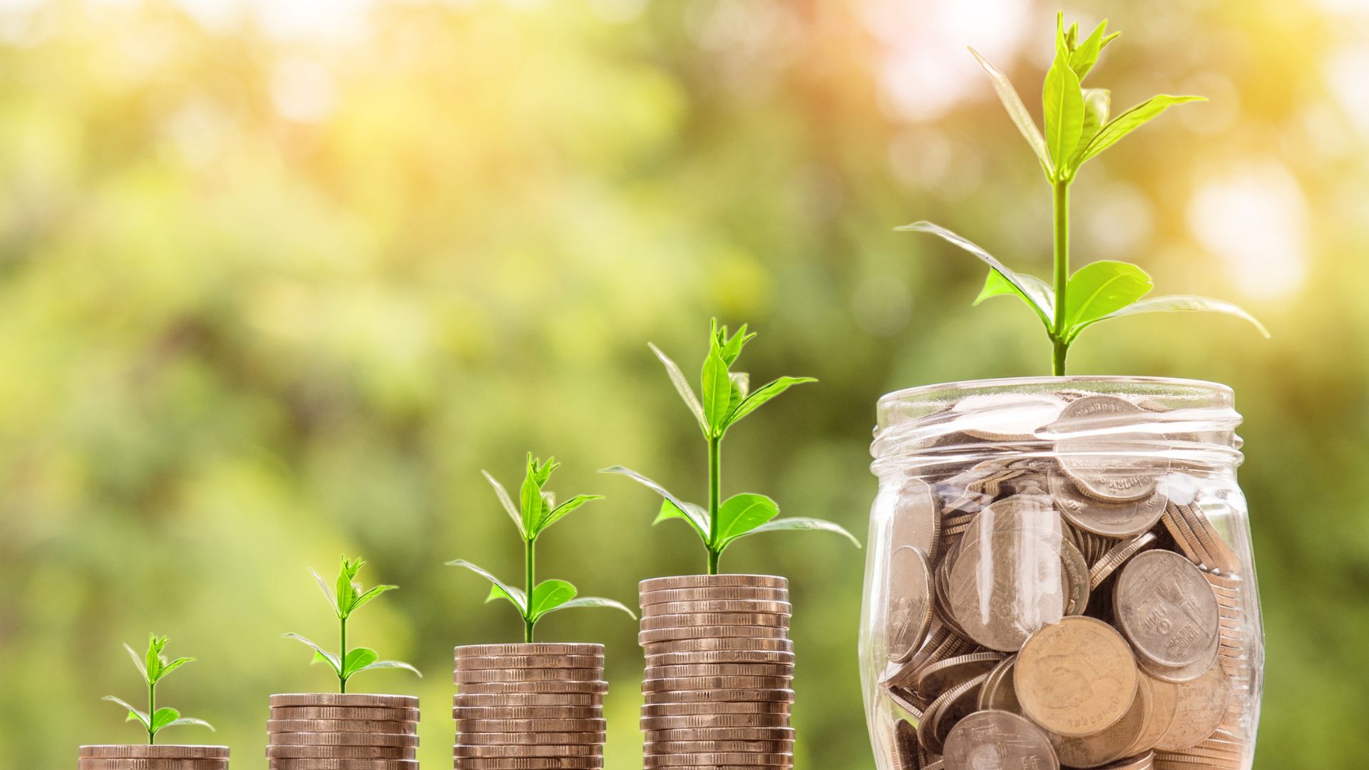 Navigating Local Economy Dynamics: From Microenterprises to Manufacturing