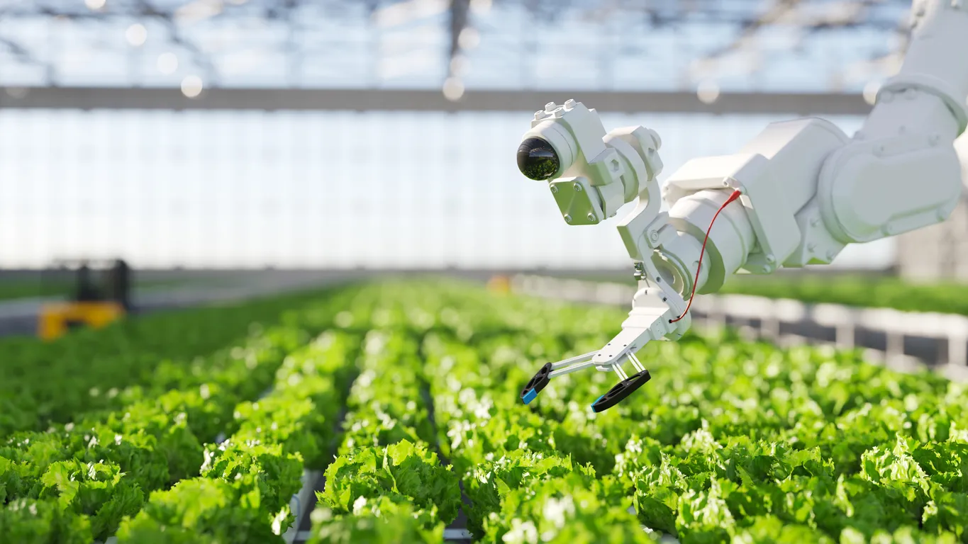 Cultivating Tomorrow: How Tech is Transforming Agriculture's Landscape